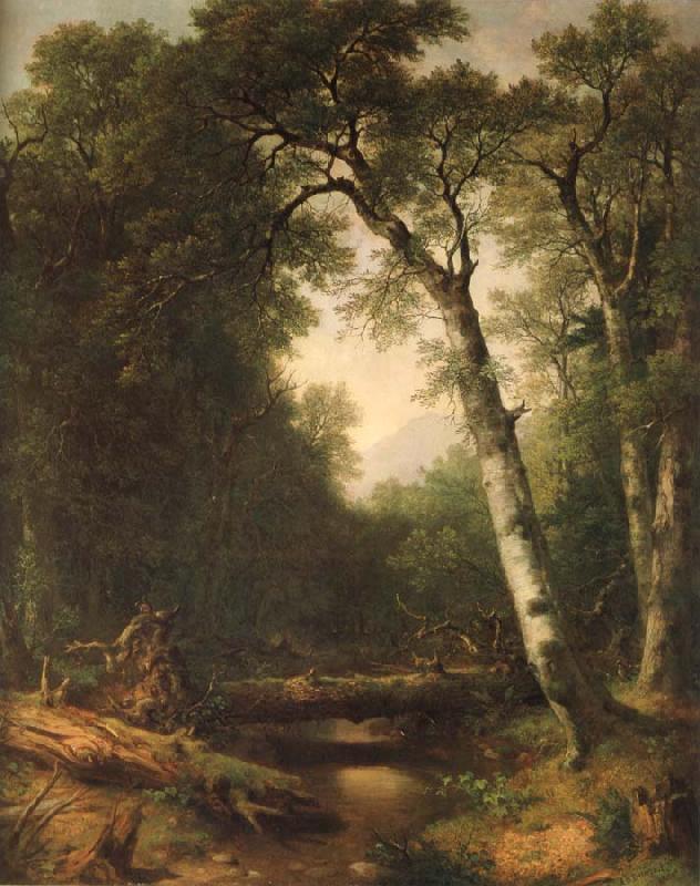 Asher Brown Durand Ein Bach im  Wald oil painting image